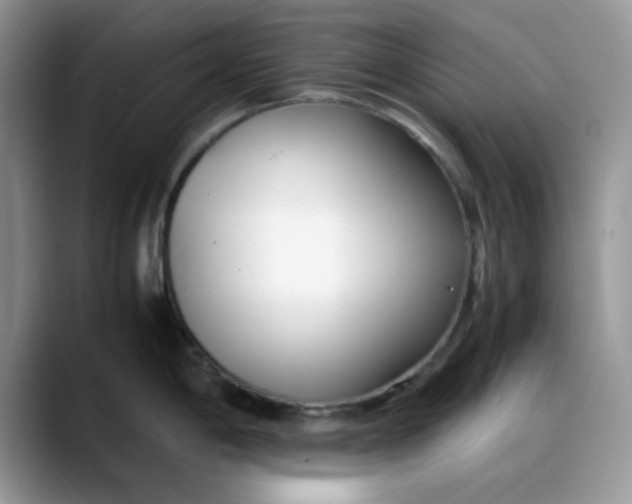 X0000088171198200705291925