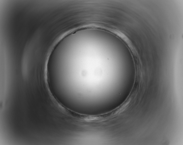 X0000088171199200705291925