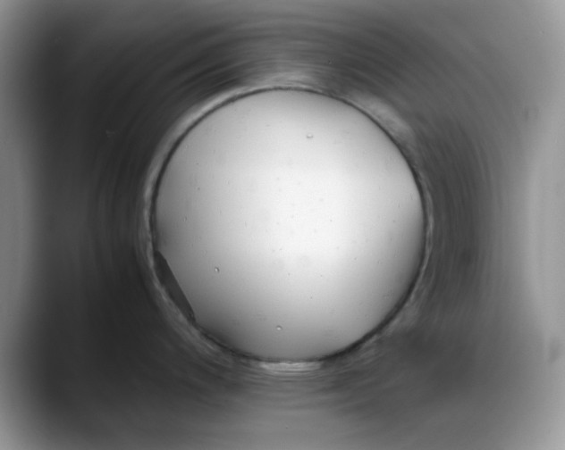 X0000088171200200705291925