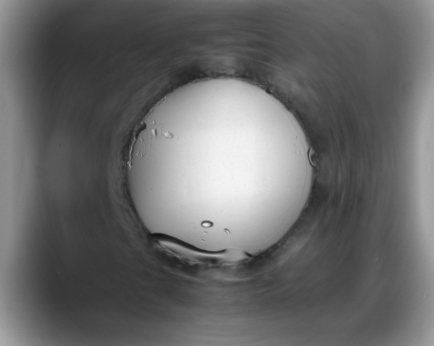 X0000088171201200705291925