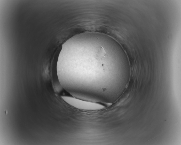 X0000088171202200705291925