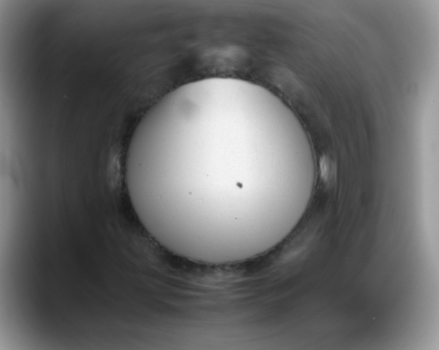 X0000088171203200705291925