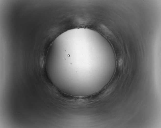 X0000088171204200705291925