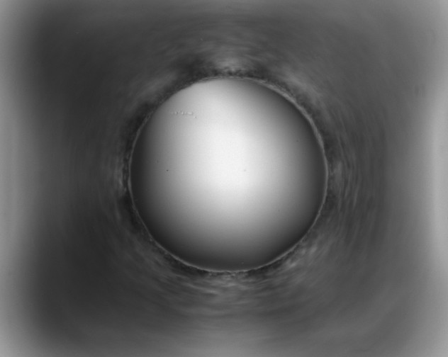 X0000088171205200705291925