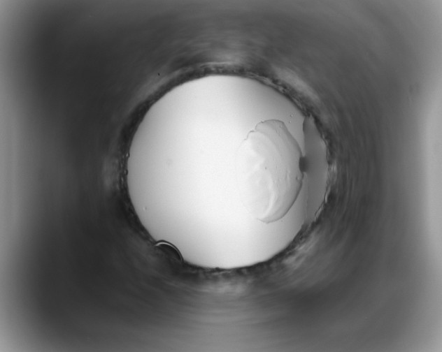 X0000088171208200705291925