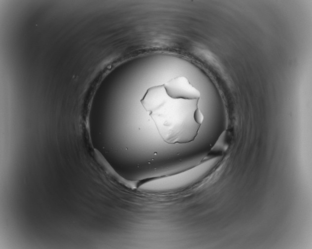 X0000088171210200705291925