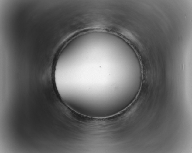 X0000088171216200705291925