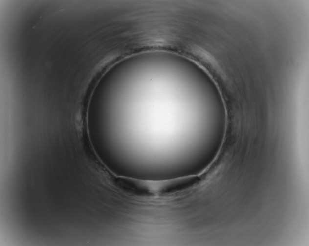 X0000088171218200705291925