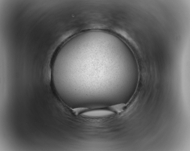 X0000088171221200705291925