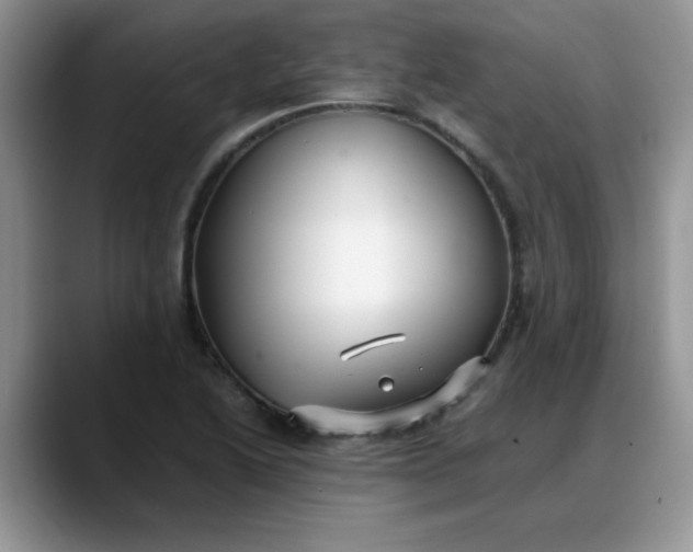 X0000088171222200705291925