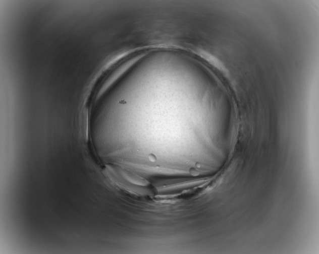 X0000088171223200705291925