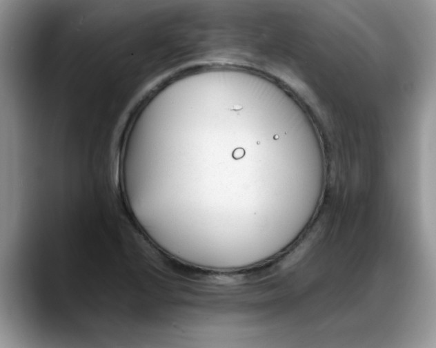 X0000088171224200705291925