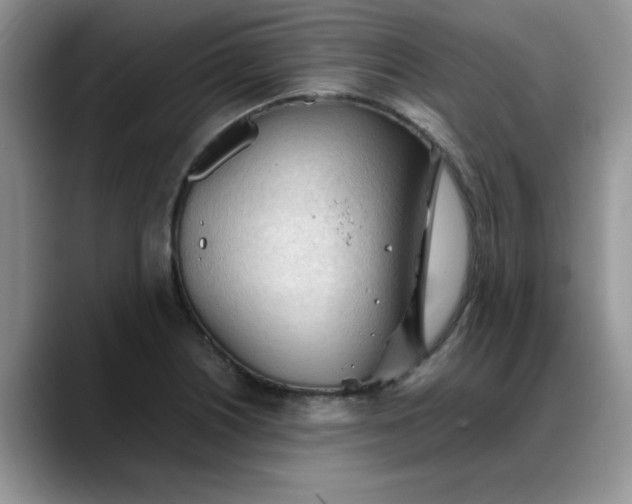 X0000088171226200705291925