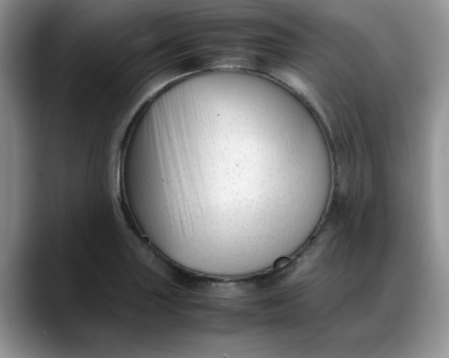 X0000088171227200705291925