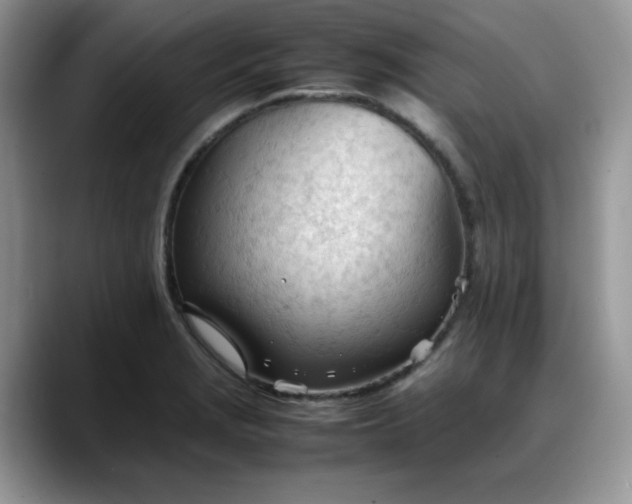 X0000088171229200705291925