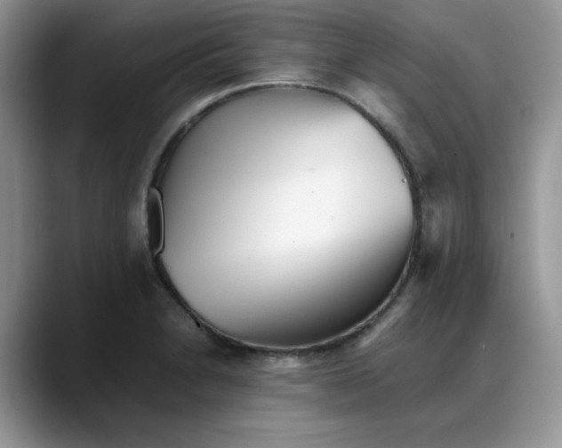 X0000088171230200705291925