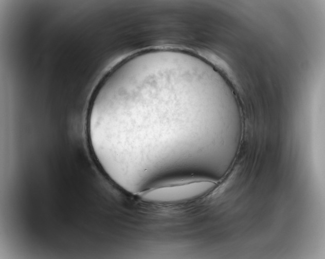 X0000088171231200705291925