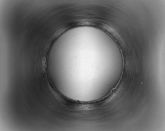 X0000088171233200705291925