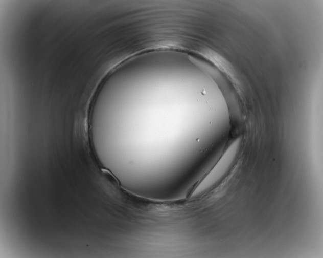 X0000088171234200705291925