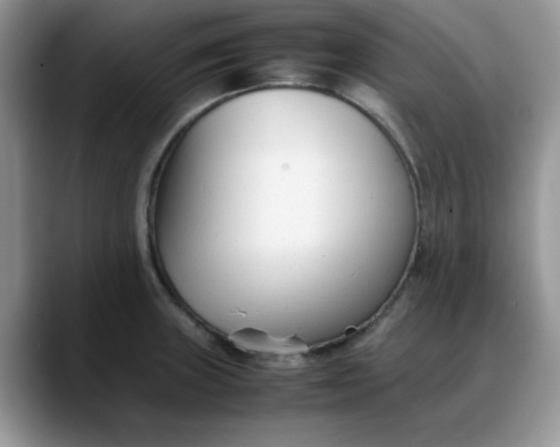 X0000088171235200705291925