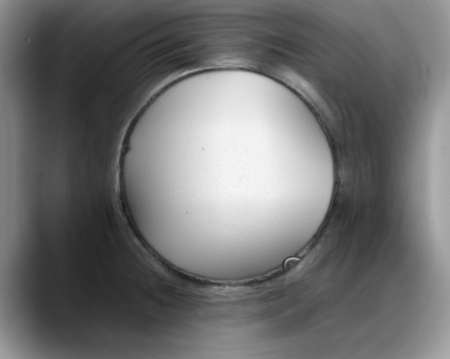 X0000088171236200705291925