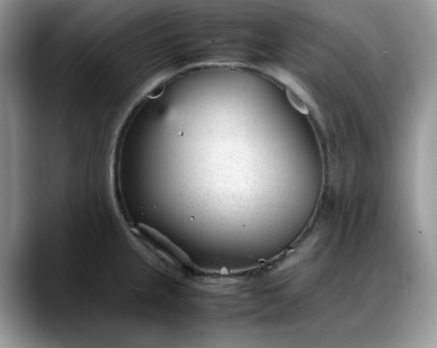 X0000088171237200705291925