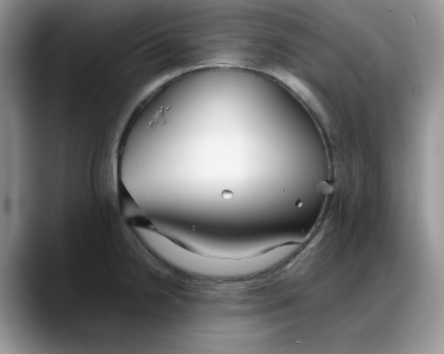 X0000088171238200705291925