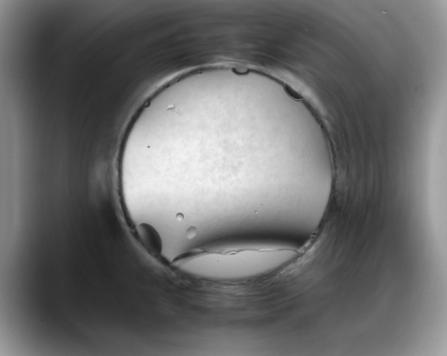 X0000088171239200705291925