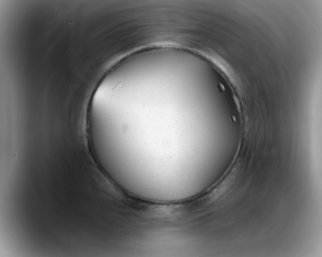 X0000088171240200705291925