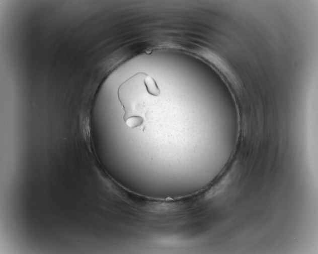 X0000088171241200705291925