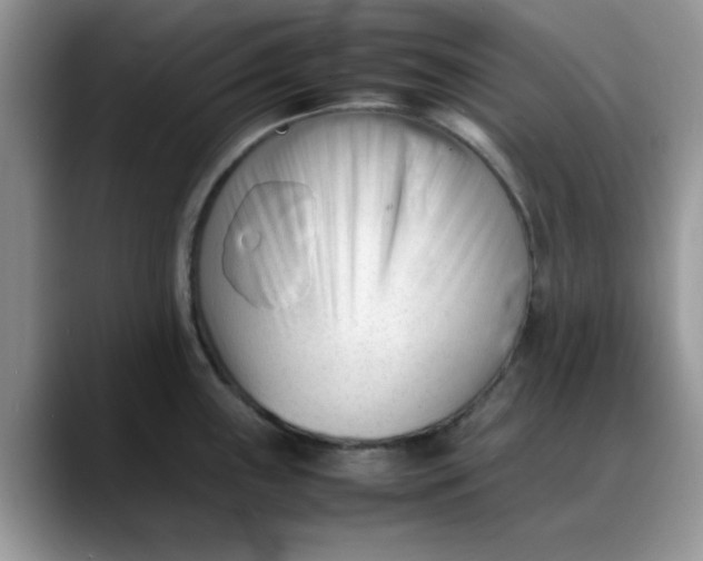 X0000088171243200705291925