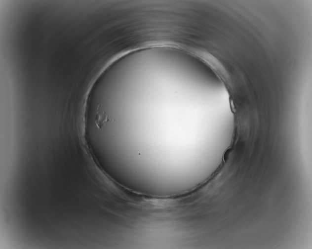 X0000088171244200705291925