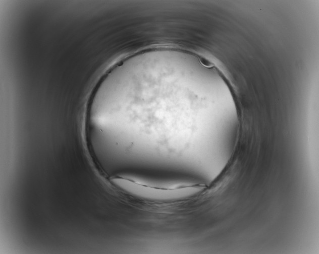 X0000088171245200705291925