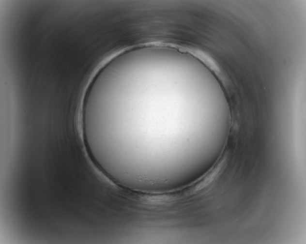 X0000088171247200705291925