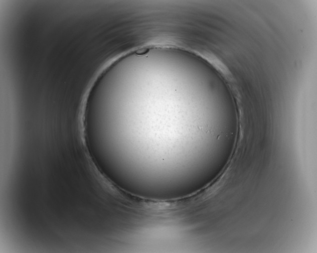 X0000088171248200705291925