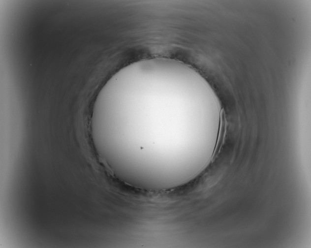 X0000088171249200705291925