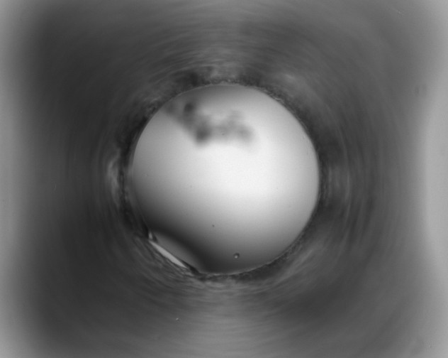 X0000088171250200705291925