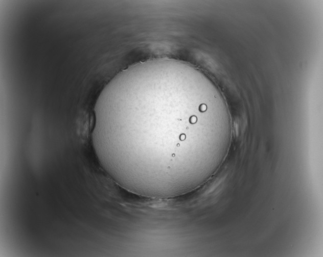 X0000088171251200705291925