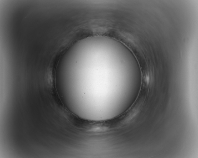 X0000088171252200705291925