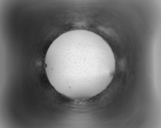 X0000088171254200705291925