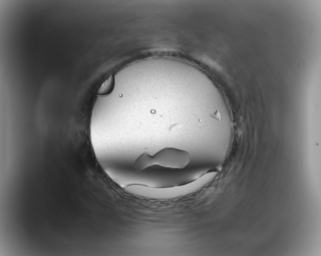 X0000088171255200705291925