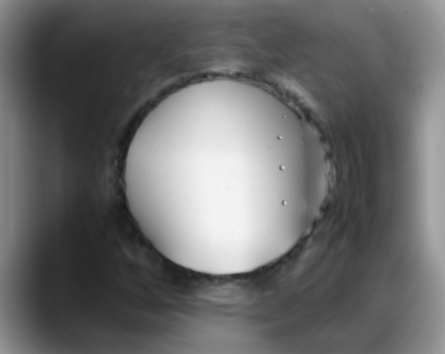 X0000088171256200705291925