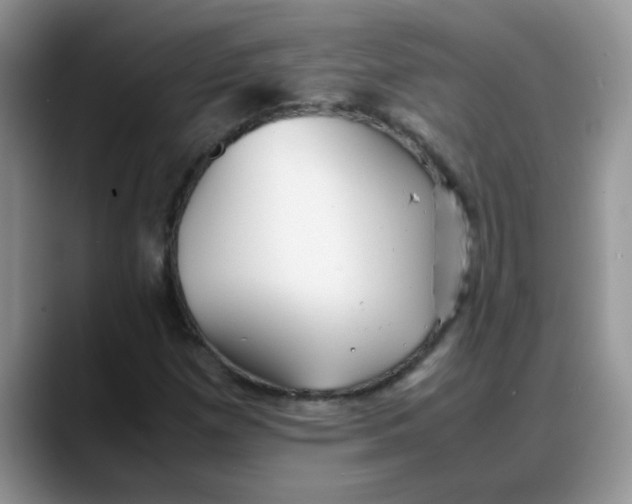 X0000088171257200705291925