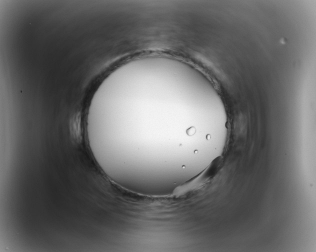 X0000088171262200705291924