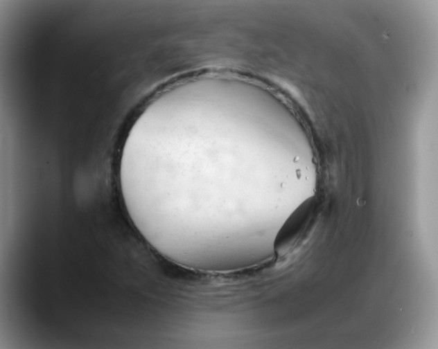 X0000088171263200705291924