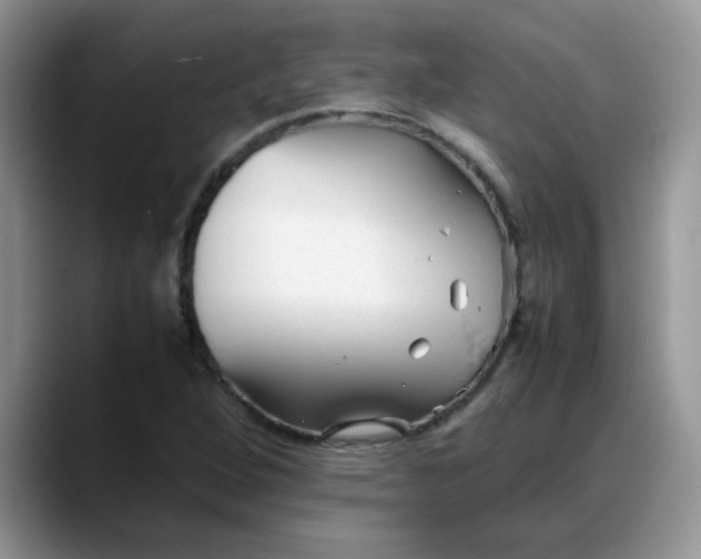 X0000088171264200705291924