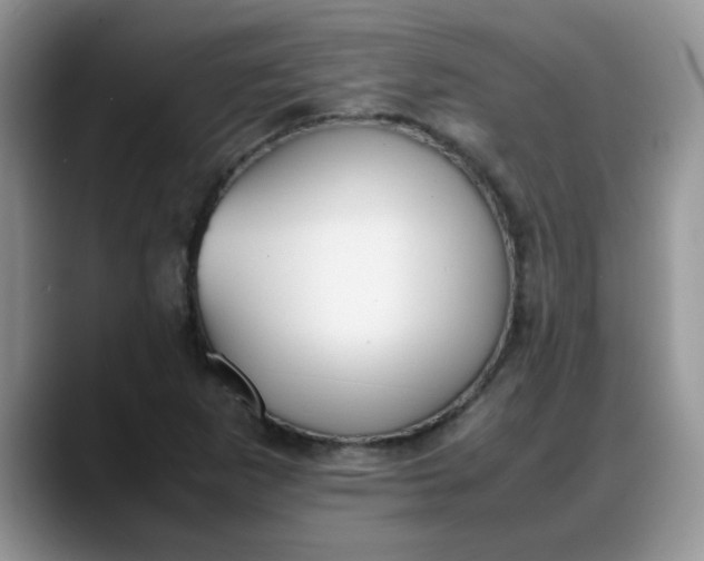 X0000088171265200705291924