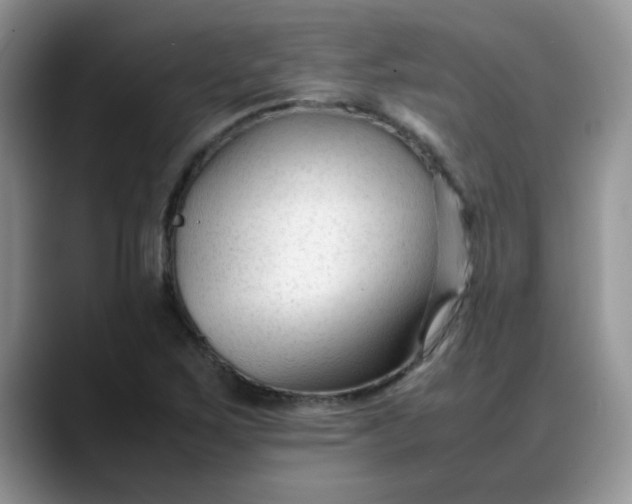 X0000088171267200705291924