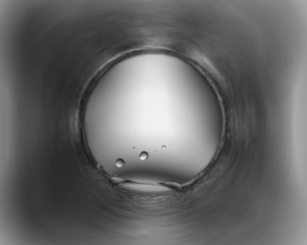 X0000088171268200705291924