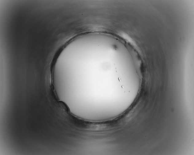 X0000088171269200705291924